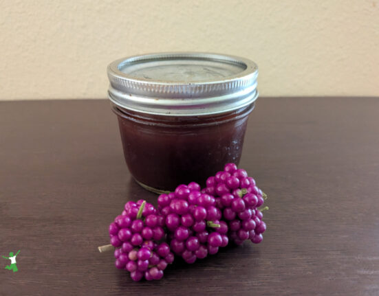 homemade American beautyberry jam in small mason jar with sprig of fresh berries