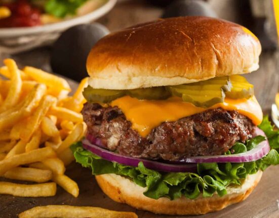 Bison Burger on a cutting board with fries