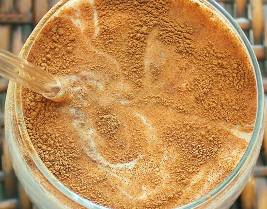 Healthy Eggnog Recipe (high protein, dairy free)