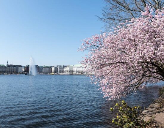 Digestive Enzymes: Do You Need Them?