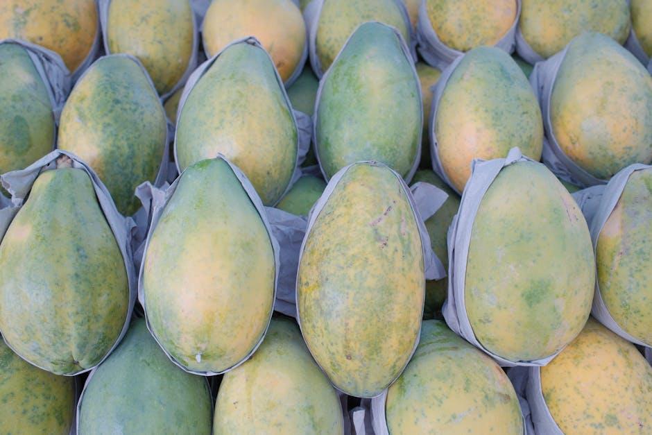 Enzymes That Enhance Digestion and Nutrient Absorption