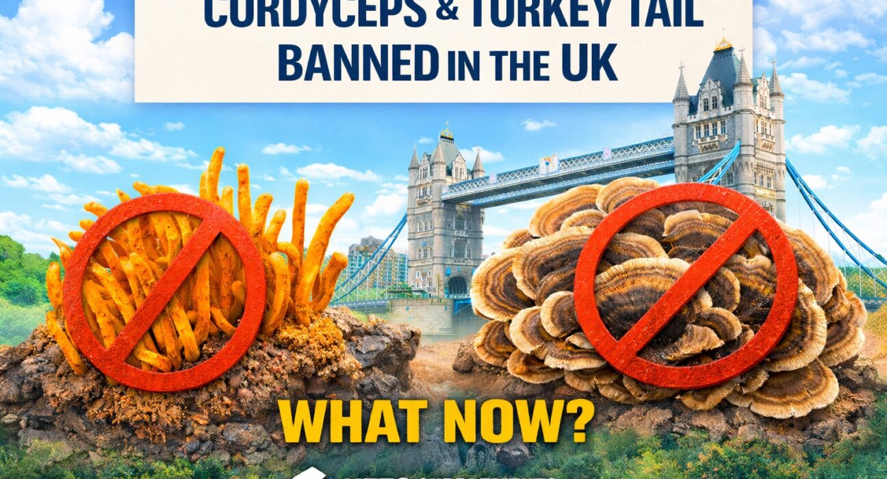 Cordyceps Banned in the UK: What You Should Know