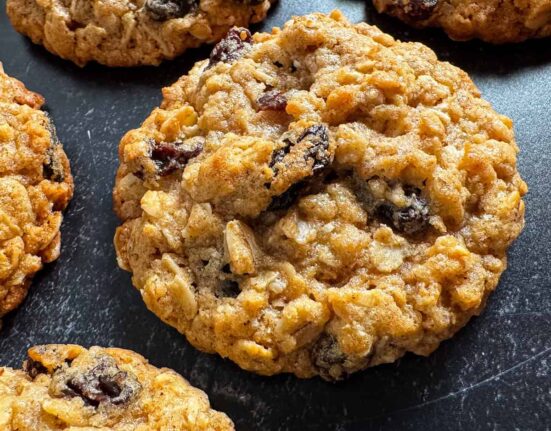oatmeal raisin cookies made with kodiak mix