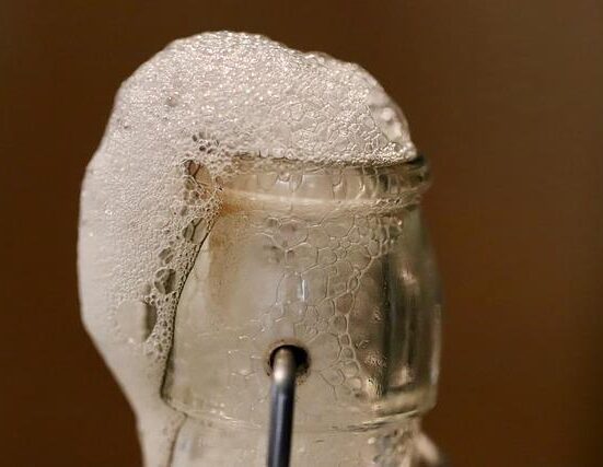 Best Fermented Supplements for Gut Healing