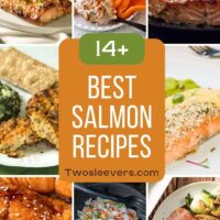 9 part grid of the best salmon recipes with text overlay