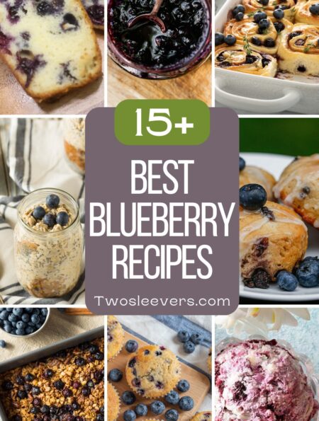 9 part photo grid of the best blueberry recipes with text overlay