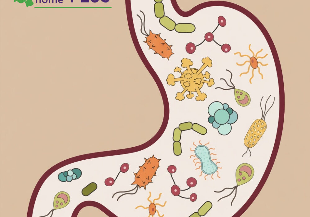 Best (and Worst) Parasite Cleanses
