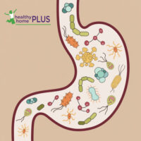 Best (and Worst) Parasite Cleanses