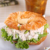 A chicken salad sandwich on a croissant with lettuce