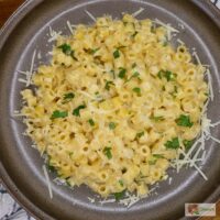 Overhead image of Viral Ditalini pasta on a plate with parmesan cheese and parsley