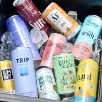 The Best Canned Cocktails: A Dietitian’s Picks
